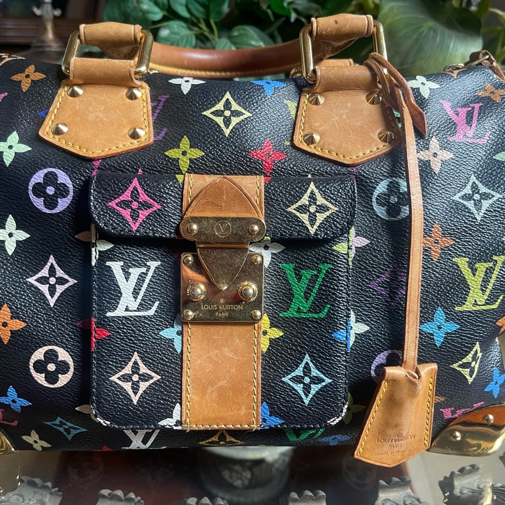 Louis Vuitton Murakami multicolor